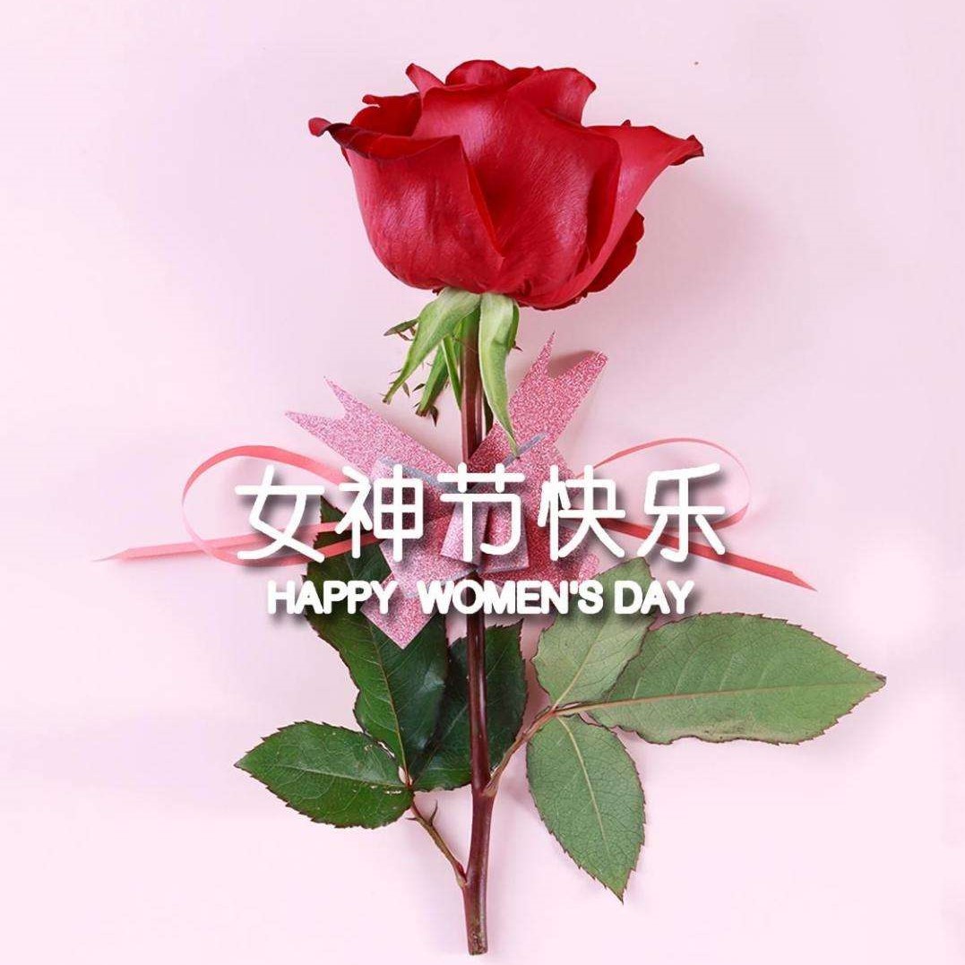 女神節特輯丨以醫療力量，筑女性健康