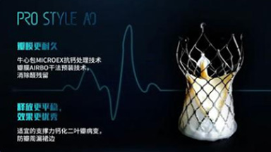 經(jīng)導管主動(dòng)脈瓣膜系統（金仕生物）